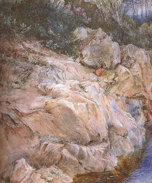 In the Pass of Killiecrankie (mk46), John Ruskin,HRWS